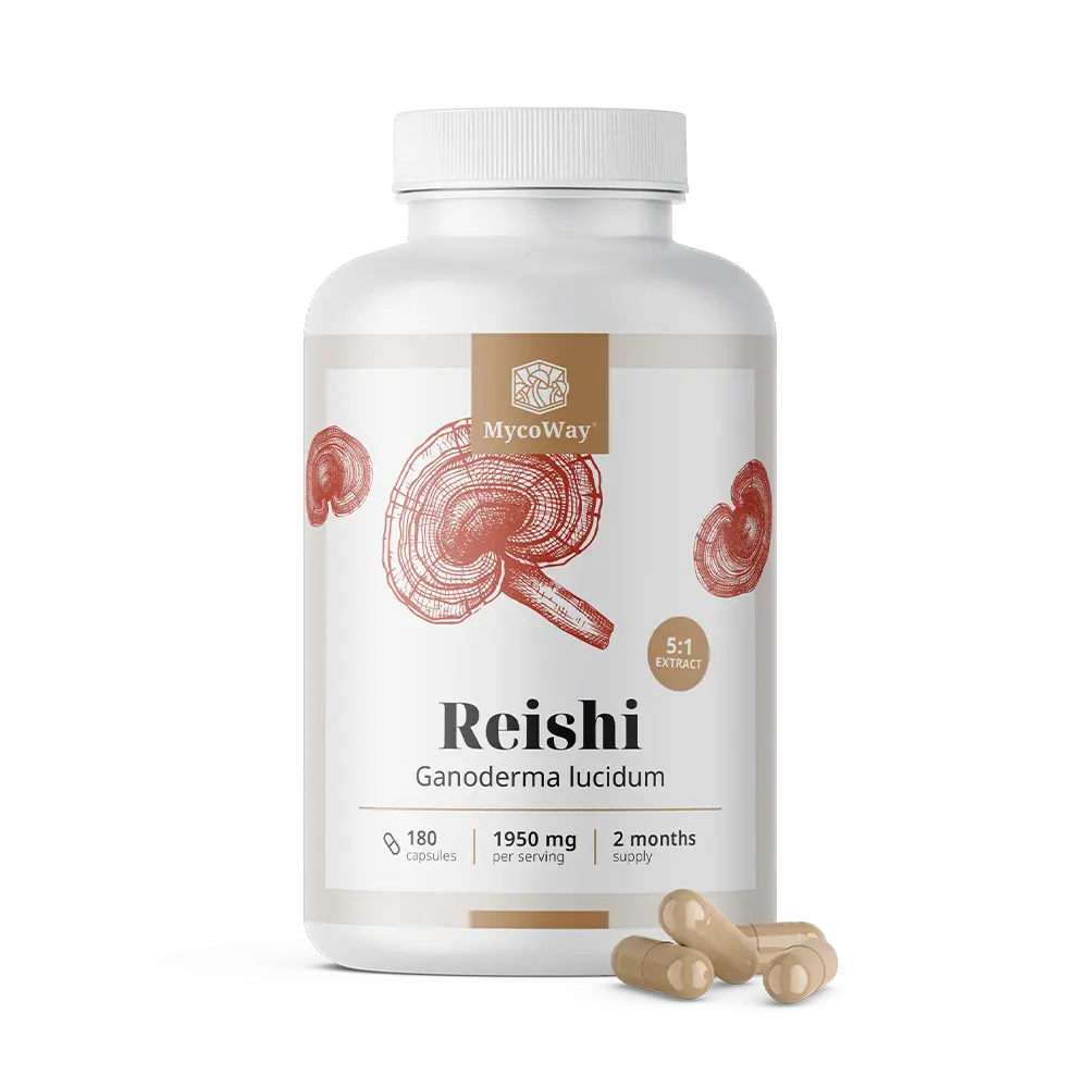 Reishi 1950 mg – extract 5:1
