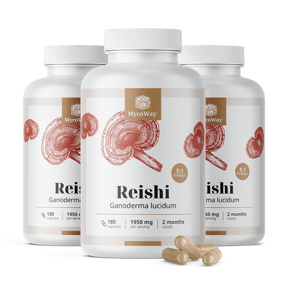 Reishi 1950 mg – extract 5:1