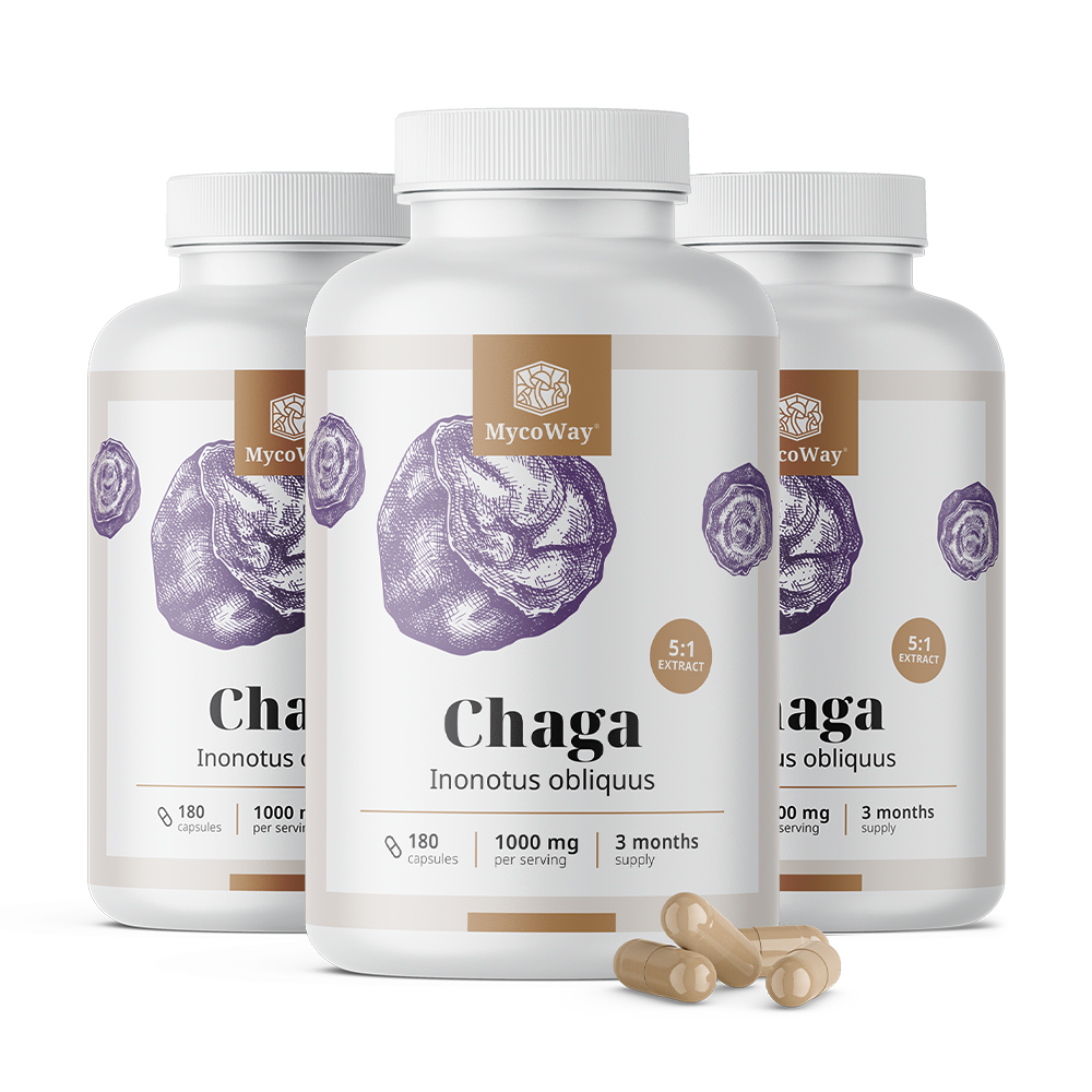 Ciuperca Chaga 1000 mg – extract 5:1