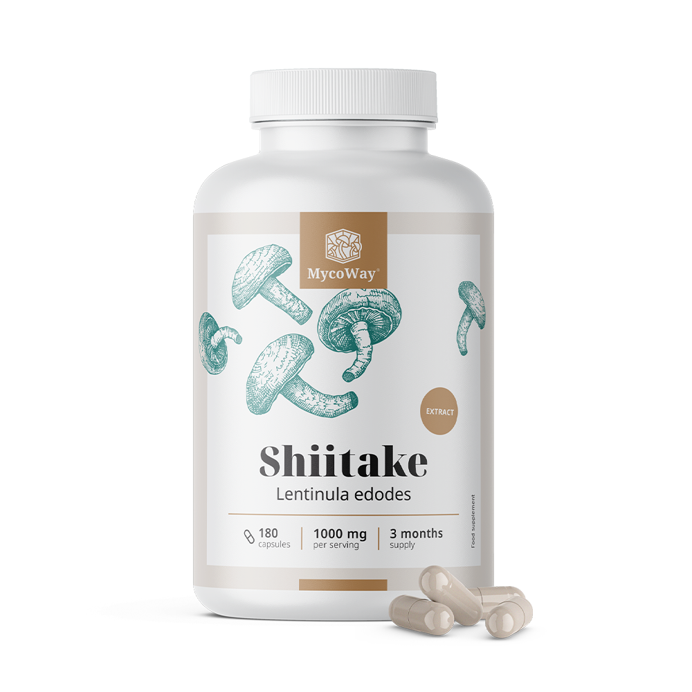 Shiitake 1000 mg – extract