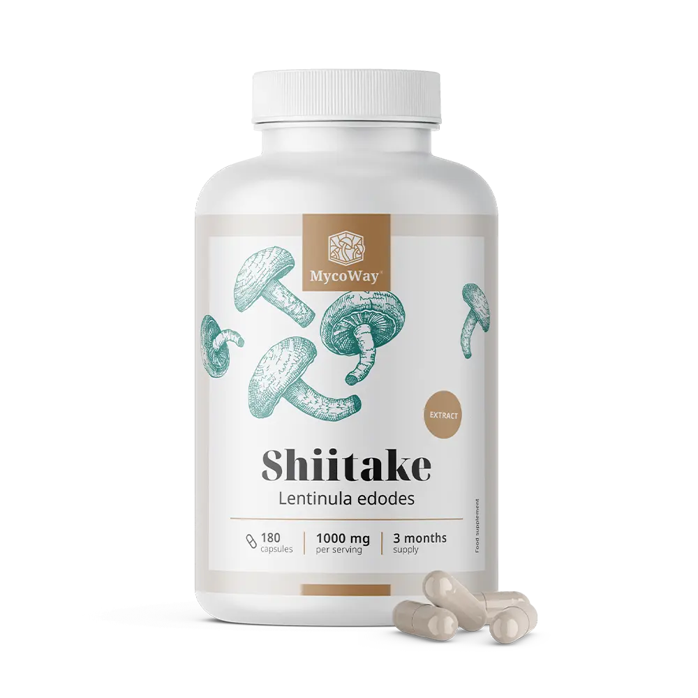 Shiitake 1000 mg – extract