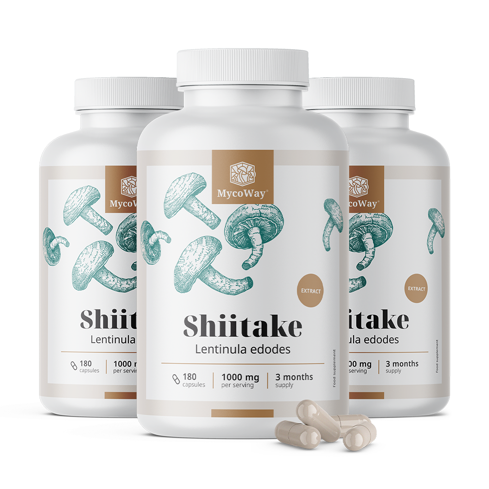 Shiitake 1000 mg – extract
