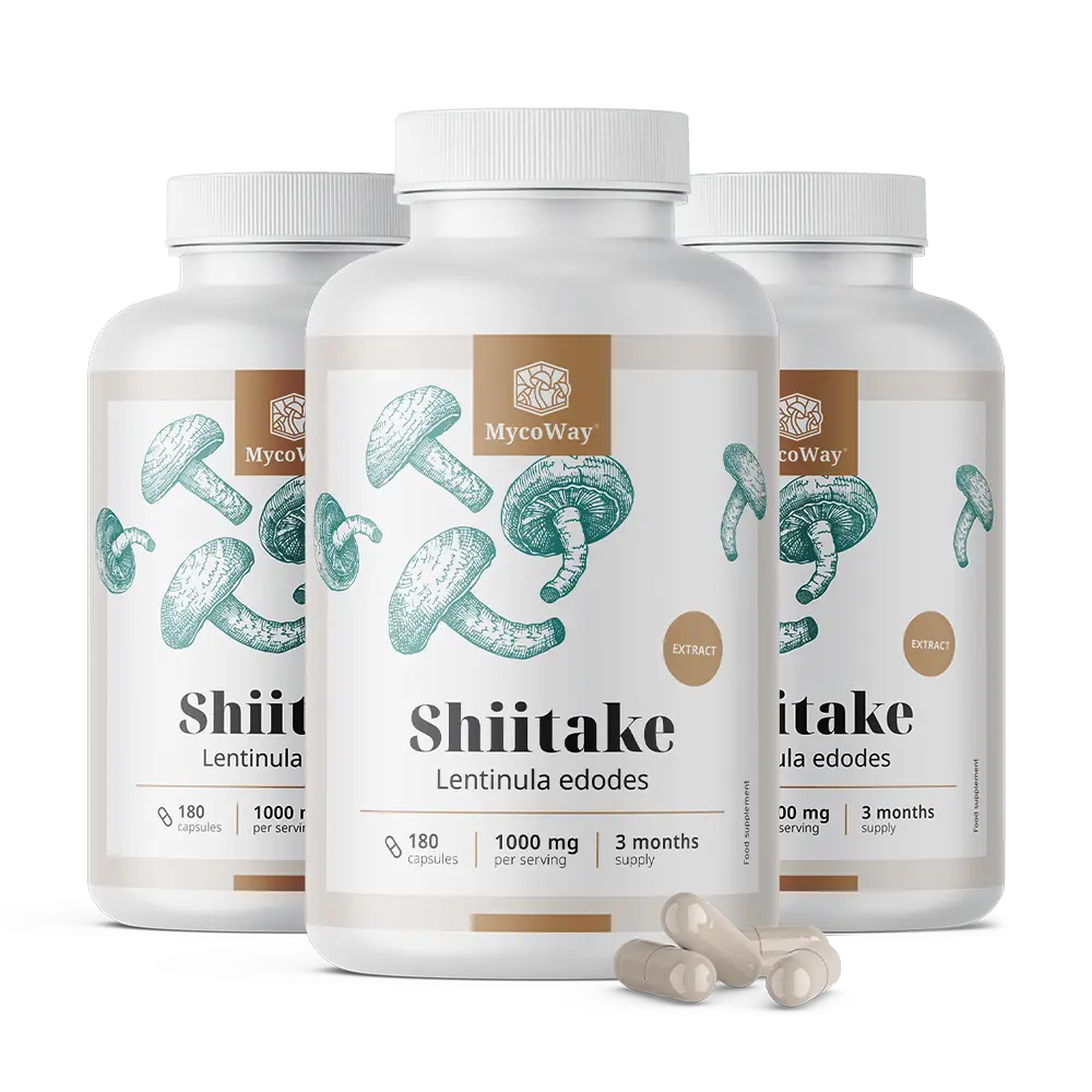Shiitake 1000 mg – extract