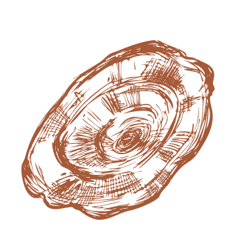 Faceți un pas către vitalitate și putere