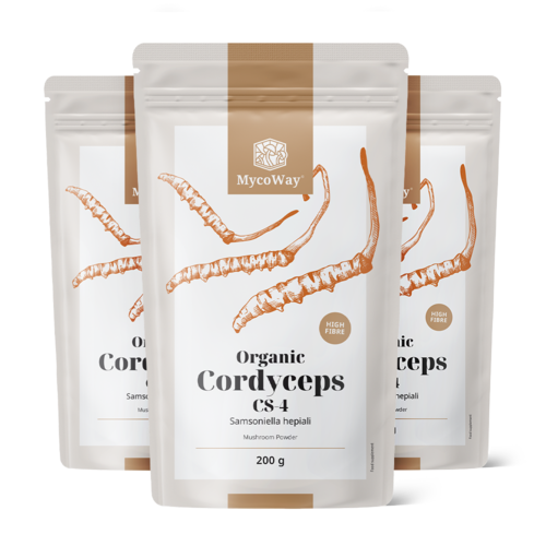 3x BIO Cordyceps CS-4 în pulbere, total 600 g