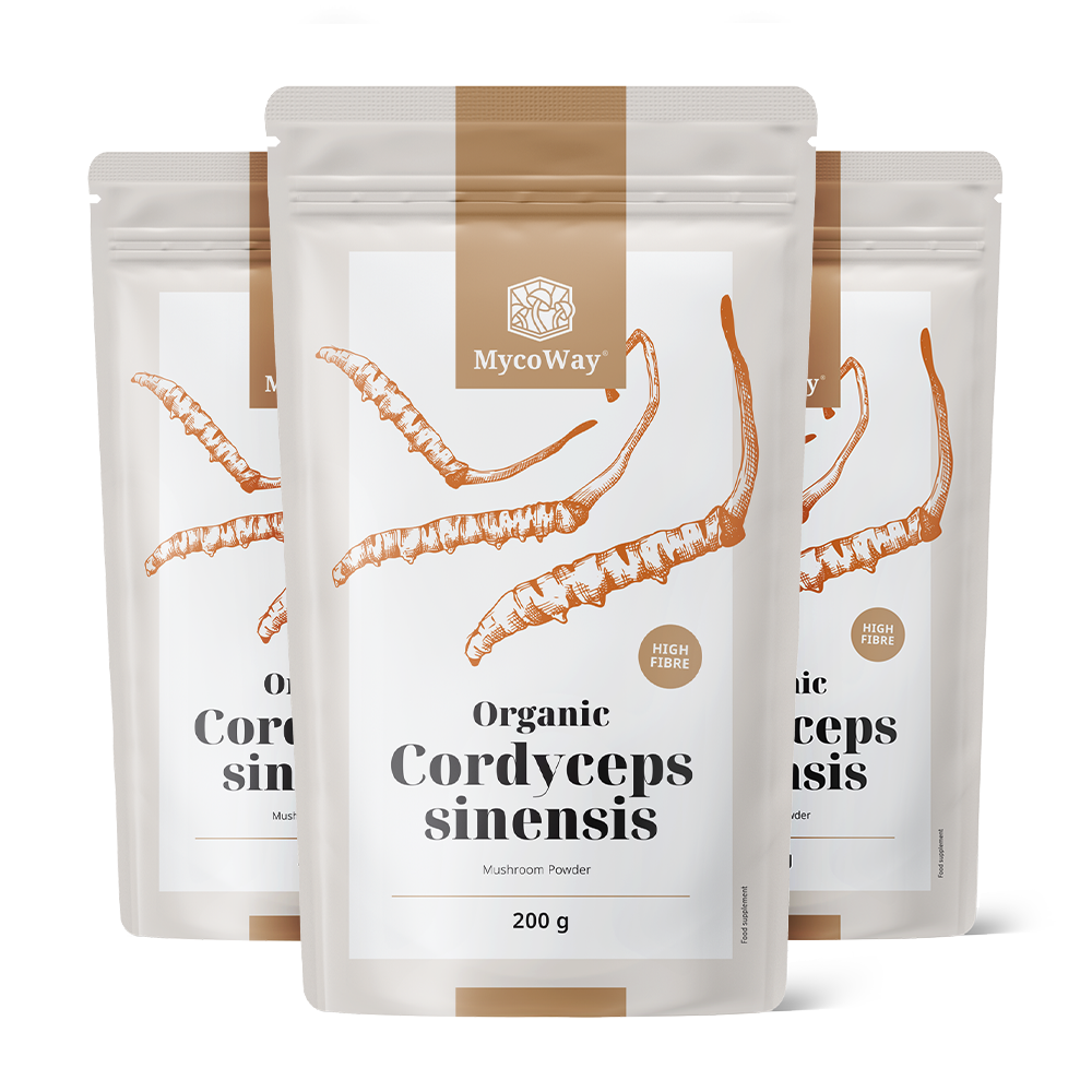 Cordyceps sinensis BIO în pulbere