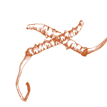 Îmbunătățiți-vă vitalitatea