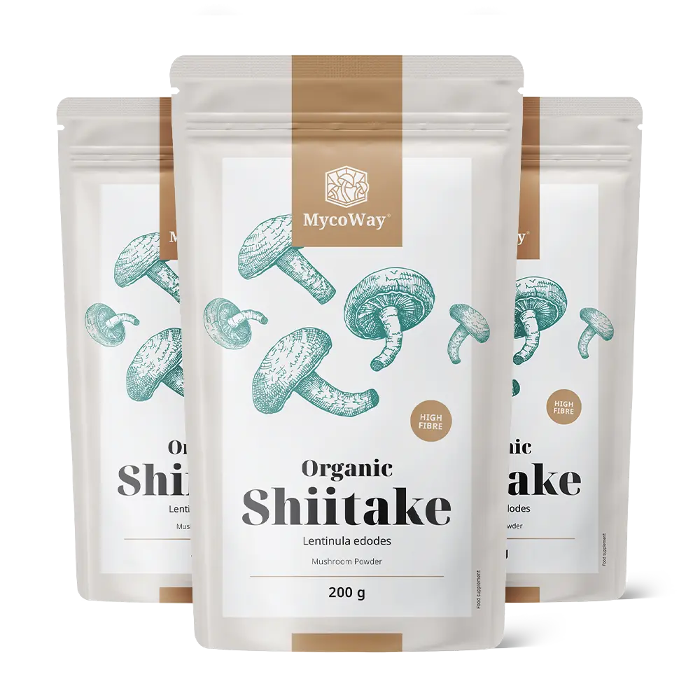 Ciuperci Shiitake bio sub formă de pudră