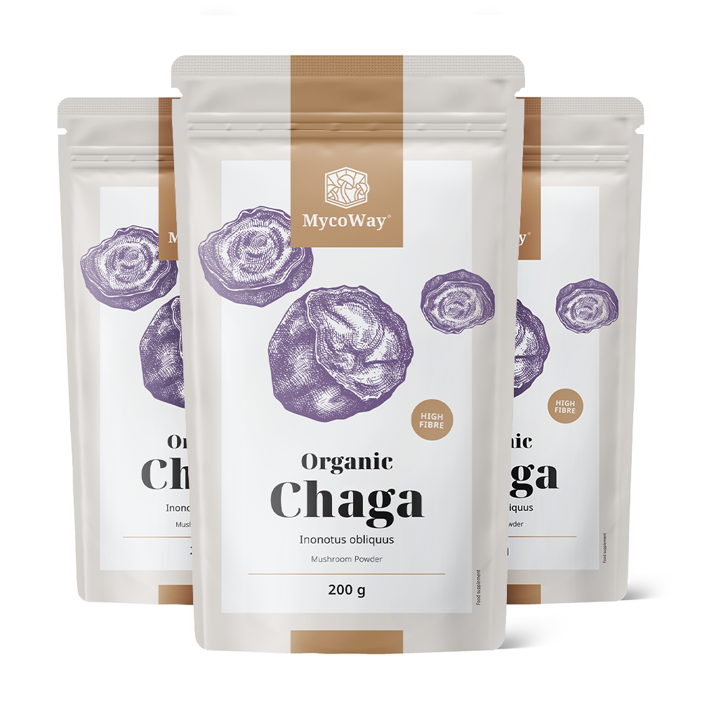 Ciuperca Chaga pulbere BIO