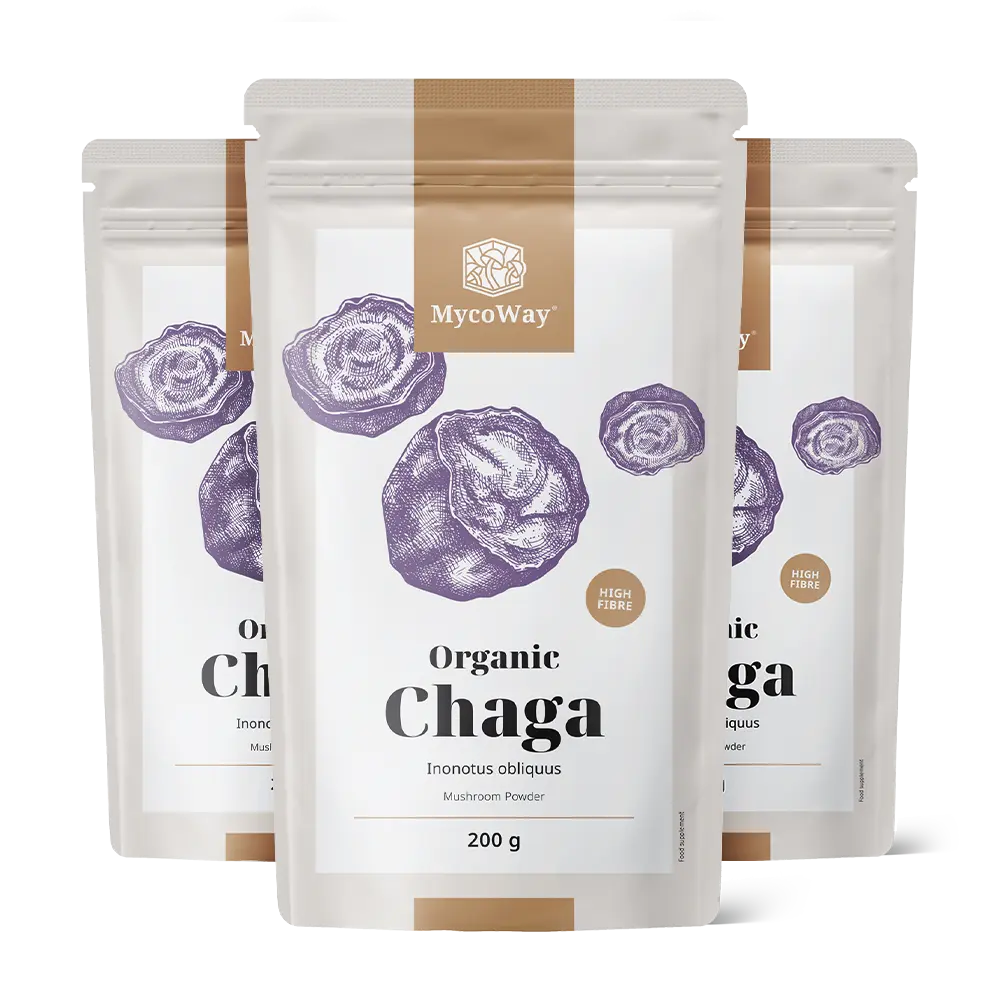 Ciuperca Chaga pulbere BIO