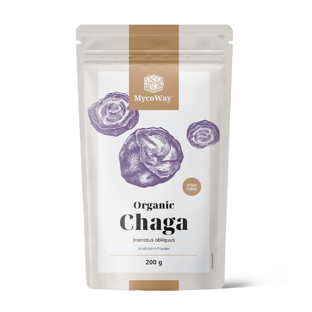 Ciuperca Chaga pulbere BIO.