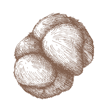 Suport versatil pentru zile pline de provocări