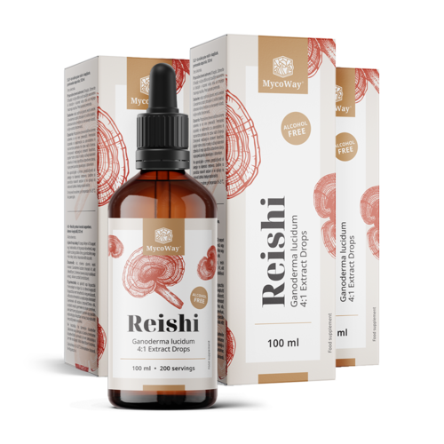 3x Reishi – extract în picături, total 300 ml
