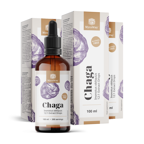 3x Chaga – extract în picături, total 300 ml