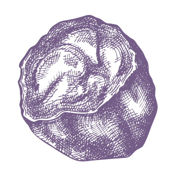 O modalitate simplă de a conserva energia naturală