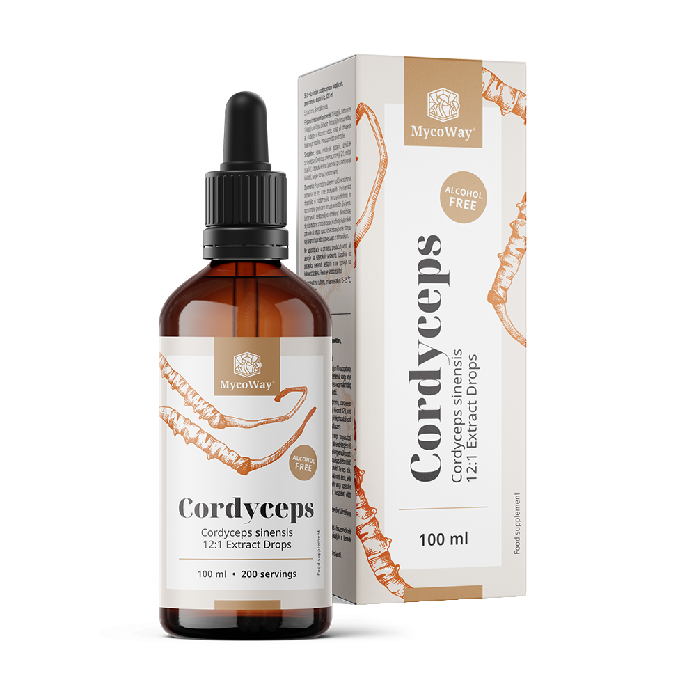 Cordyceps – extract în picături