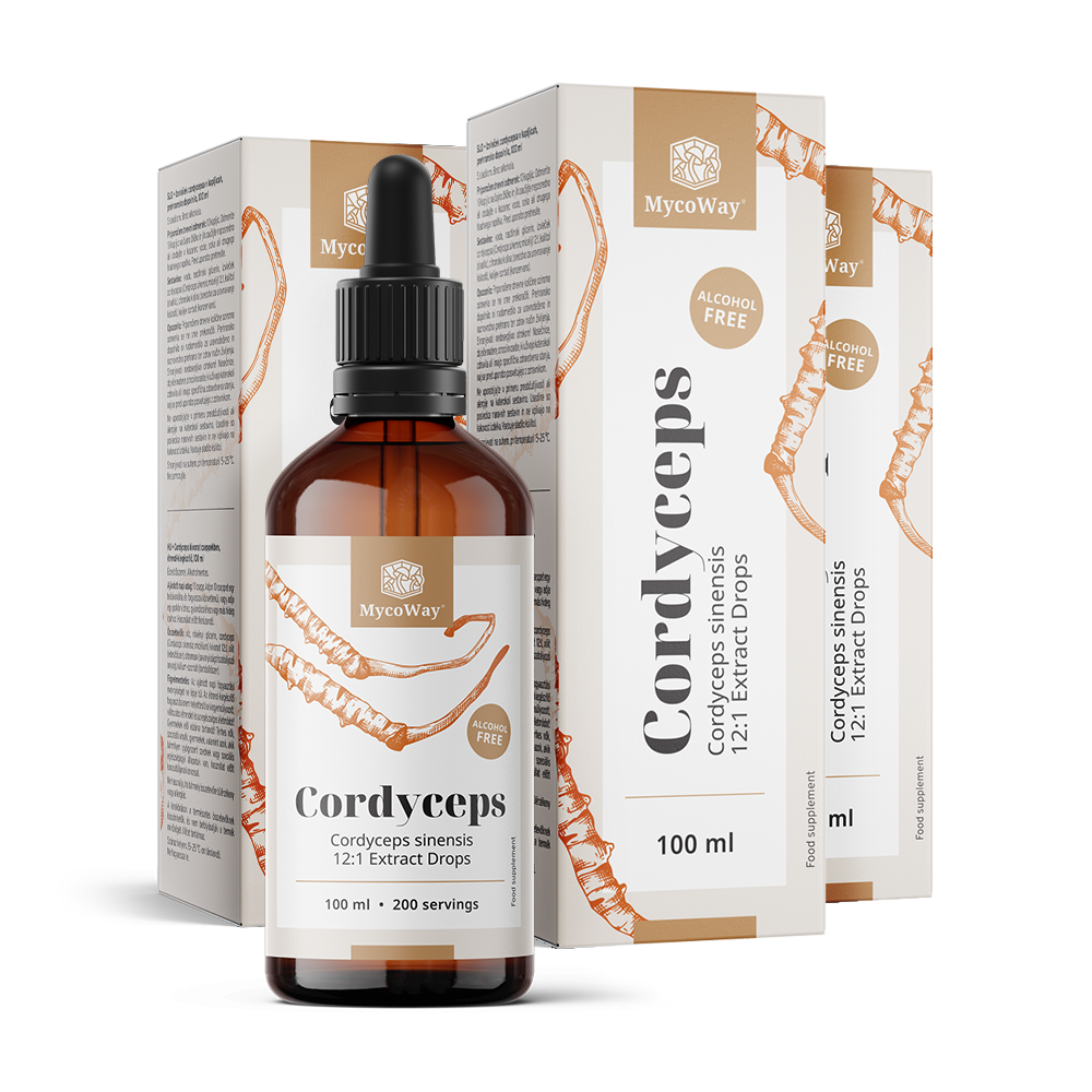 Cordyceps – extract în picături